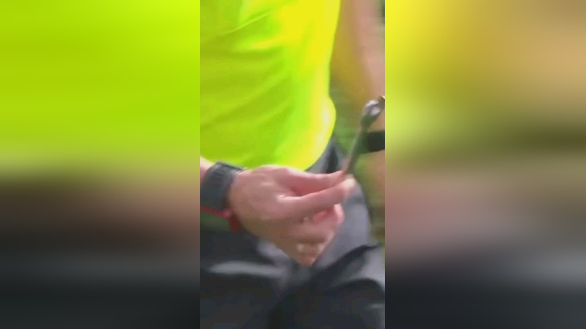多面手特